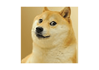 Doge 아이콘