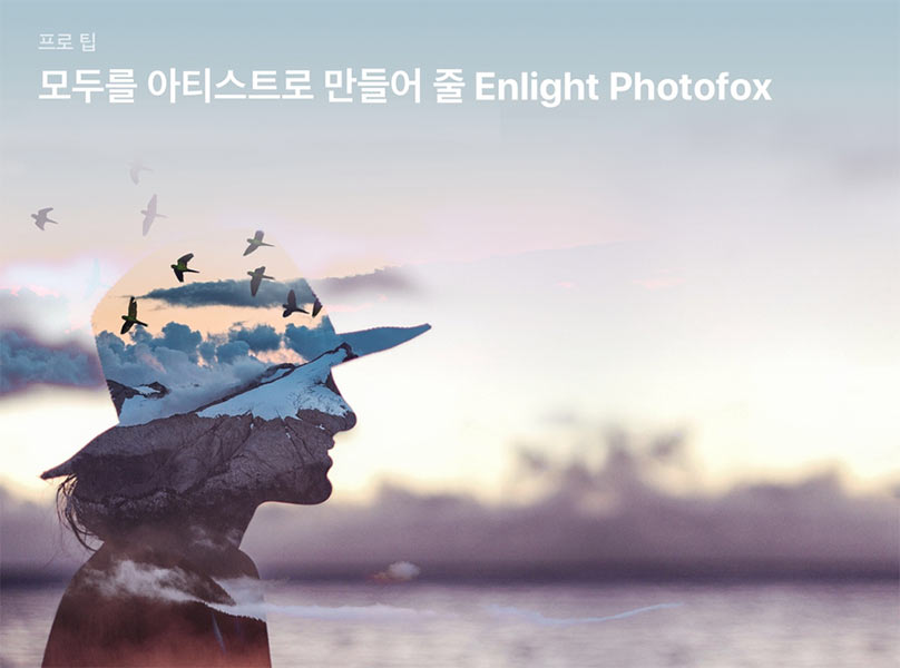 Enlight Photofox 추천이미지