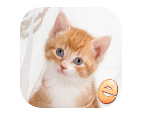 어린이를위한 직소 원더 새끼 고양이 퍼즐 아이폰앱 아이콘