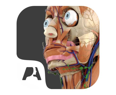 Pocket Anatomy 아이폰앱 아이콘