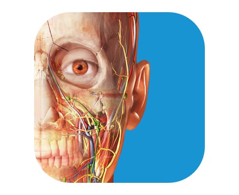 Human Anatomy Atlas 2018 Edition