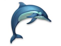 Dolphins 3D 맥앱 아이콘