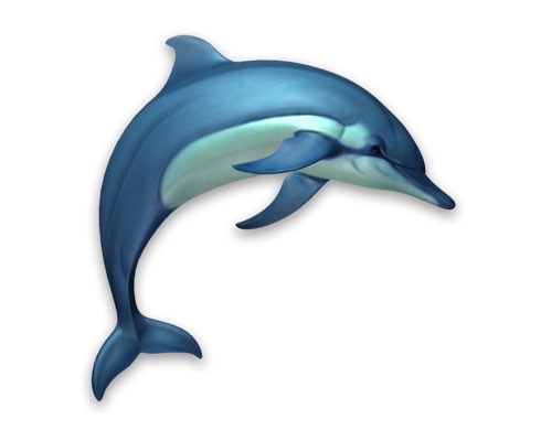 Dolphins 3D 맥앱 아이콘