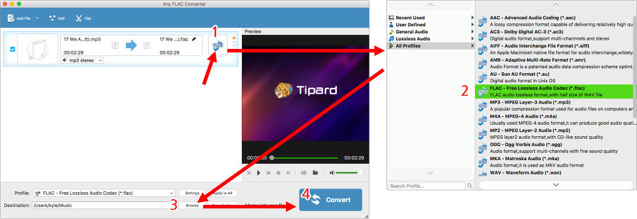 맥오디오 변환기 Any FLAC 사용법 - 개별파일 포맷 설정