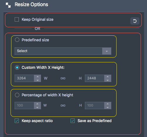 Resize Options 항목