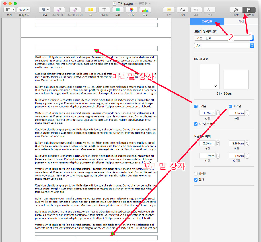 Mac Pages의 머리말과 꼬릿말 상자는 도큐멘트 설정에서 없앨 수 있습니다
