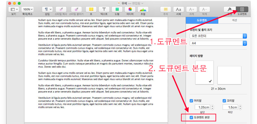 맥 Pages의 문서형태 설정 위치를 보여주고 있습니다